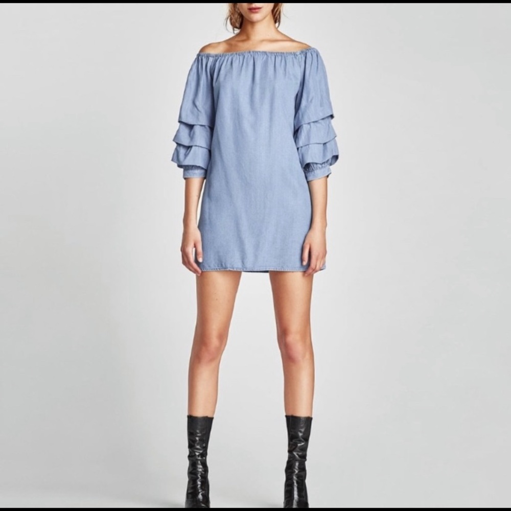 Zara Pleated Sleeves Dress